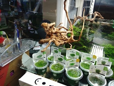 Photos of aspetshop