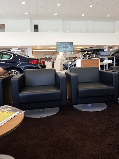 car-dealer