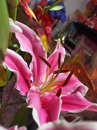 Deleite Floral - Thumbnail