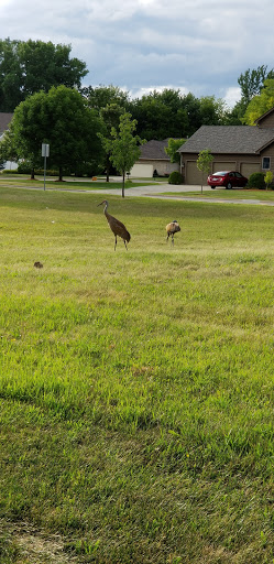 Wedgewood Subdivision - Wetlands - Thumbnail