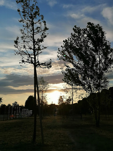Dog Park Lonato del Garda - Thumbnail