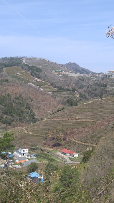 Photos of Yangdong
