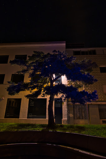 Plaza d'antoni - Thumbnail