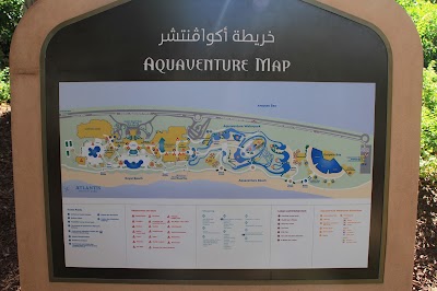 Photos of The Lost Chambers Aquarium