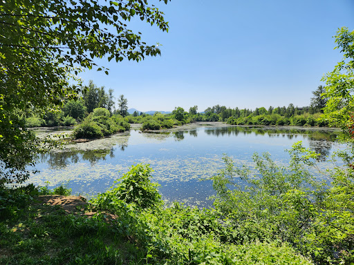 Delta Ponds - Visual