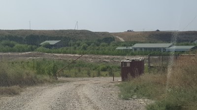 Photos of Forelevoye Khozyaystvo