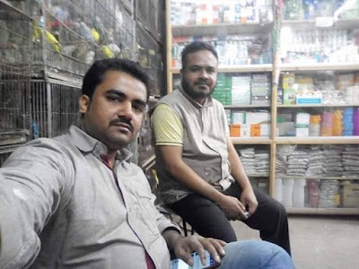 Photos of Dipu Pigeon Mela