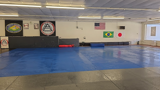 Mad Science Judo and Jiu-Jitsu Gallery - United States