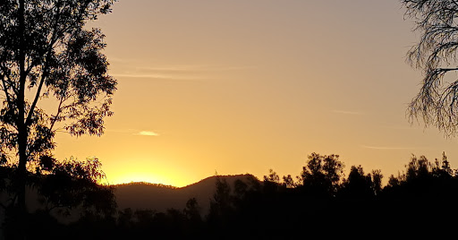 Rothvale Vineyard & Winery Gallery - Australia