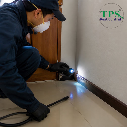 Pests hide deep in cracks, wiring, and furniture where normal sprays can’t reach. At TPS Pest Con… post image