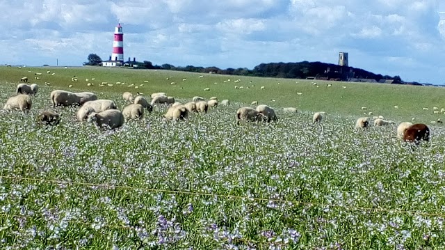 Happisburgh Lighthouse