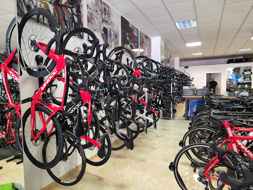 Pinarello Experience Bike Hire