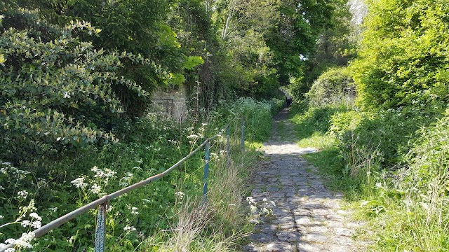 Machine de Marly, île aux Bernaches