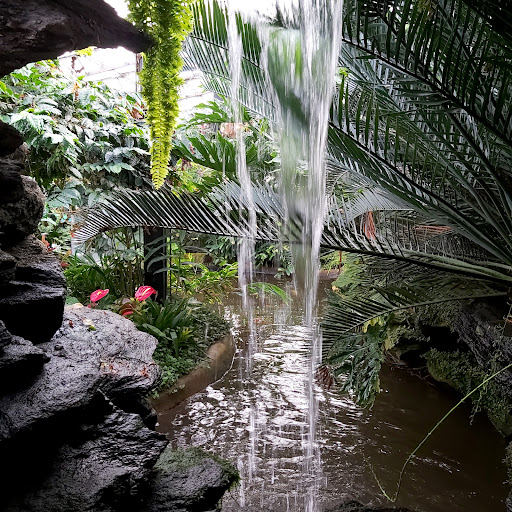 Inverness Botanic Gardens - Thumbnail