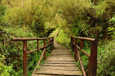 Photos of Cotopaxi National Park