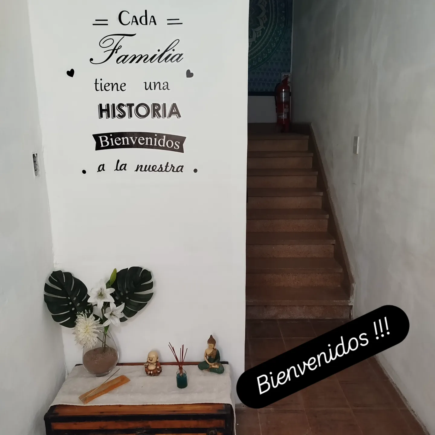 Hostel Los Tatos