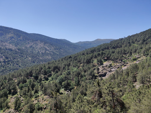 Senda botanica, Valle de Iruelas - Thumbnail