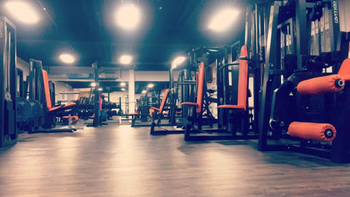 RS Bodycoach - Thumbnail
