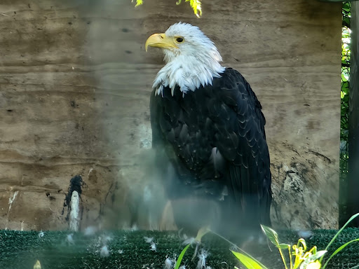 Zoo Facilities - Visual