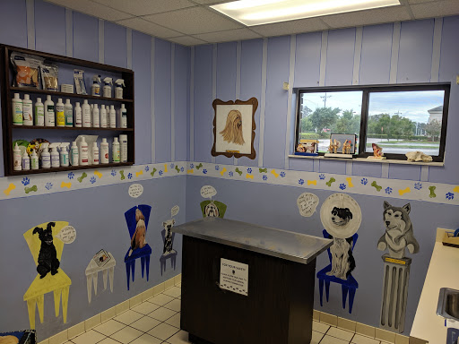 Willowdale Veterinary Center Gallery - United States