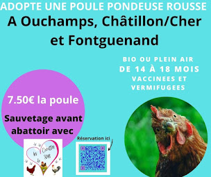 Photo n°15 de Les Cocottes de Steff à Châtres-sur-Cher (Élevage de volailles)