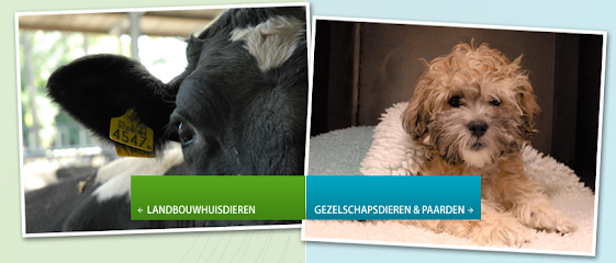 De Klomp Dierenartsen