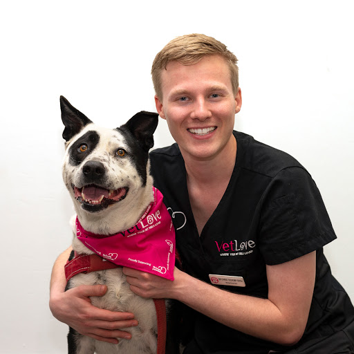 VetLove Bardon Veterinary Clinic - Thumbnail