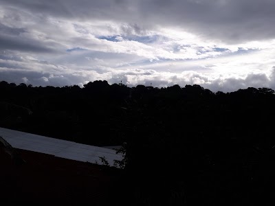 Photos of Polideportivo Tamanes