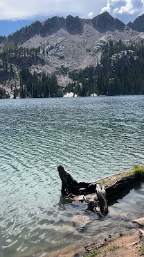 Alpine Lake by null