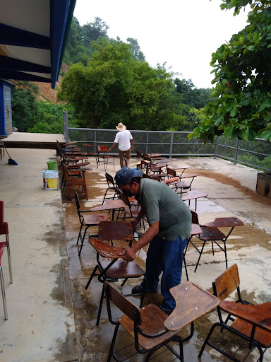 Parota seca - Thumbnail