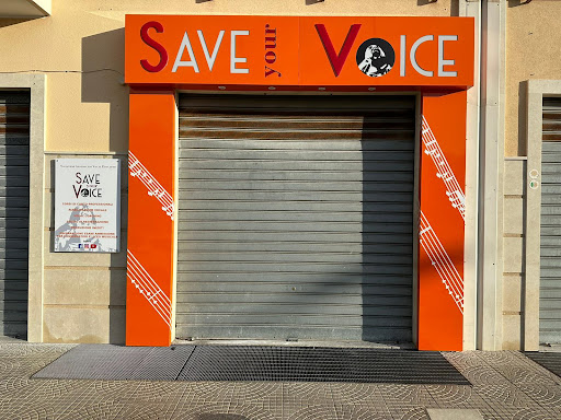 S.A.V.E. YOUR VOICE - Visual