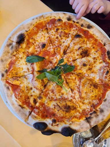 Dal-Conte - Visual