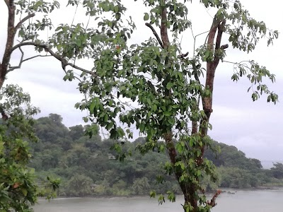 Photos of Las Cotingas Lodge