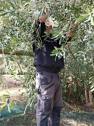 Photo n°19 de Cocotte et tonton à Azille (Ferme pédagogique)