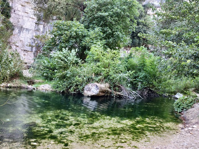 Les berges du Loup