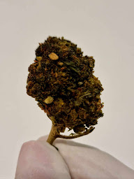 Photo n°29 de Mister & Misses CBD à Furdenheim (Magasin)