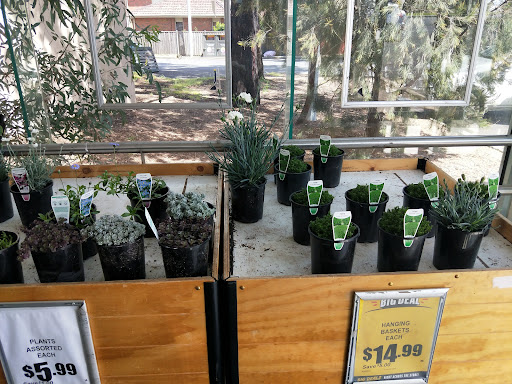 IGA Greensborough