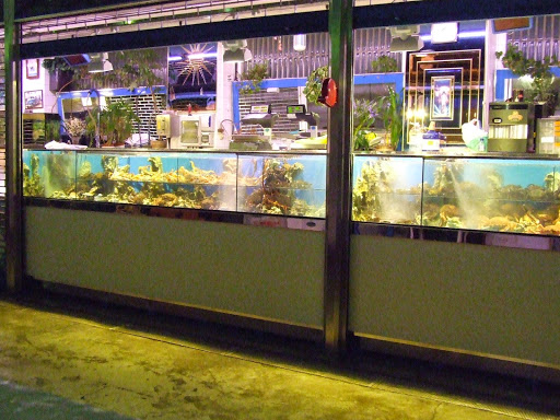 Aguas Vivas - Visual