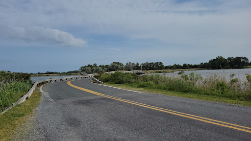 Tundra Swan Boardwalk Parking Area Gallery - United States