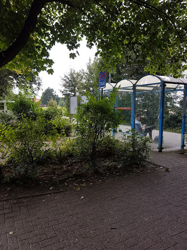 Apensen - Visual