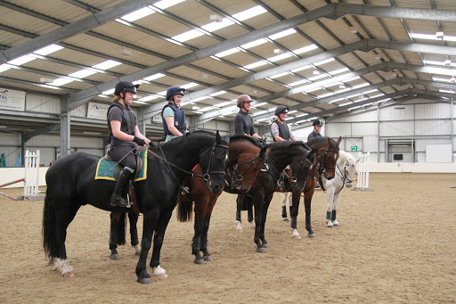 Kingston Maurward Equestrian