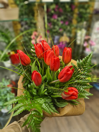 Ares Flors - Thumbnail