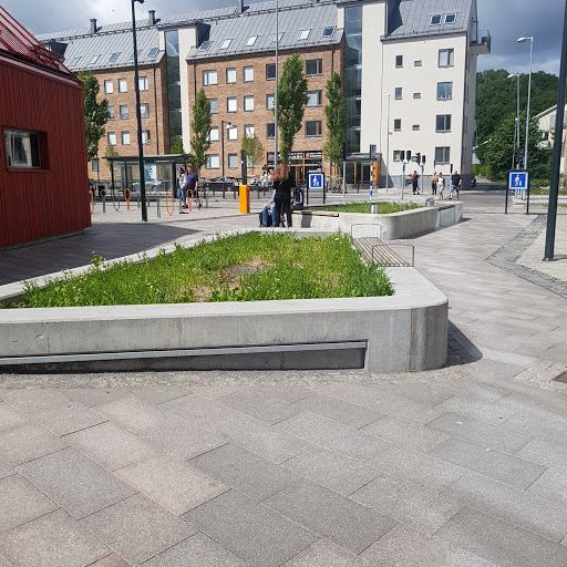 Backa Library - Visual