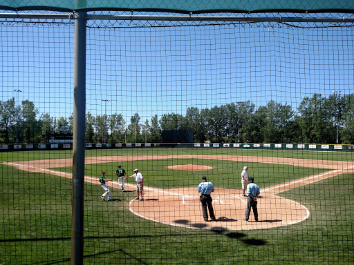 Spicer Ball Diamonds - Thumbnail