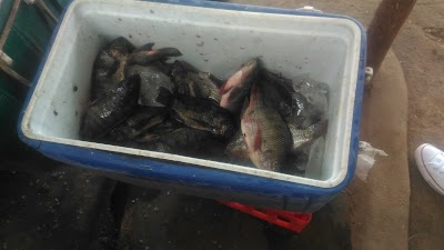 Photos of Market Calumbo