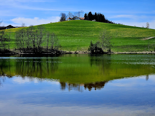 Schwaltenweiher Runde - Thumbnail