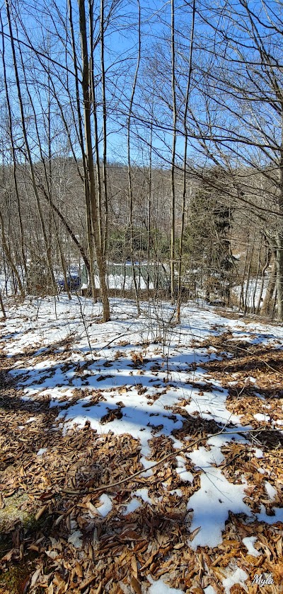 Waterloo Woods Cabin Retreat: Foxfire Cabin