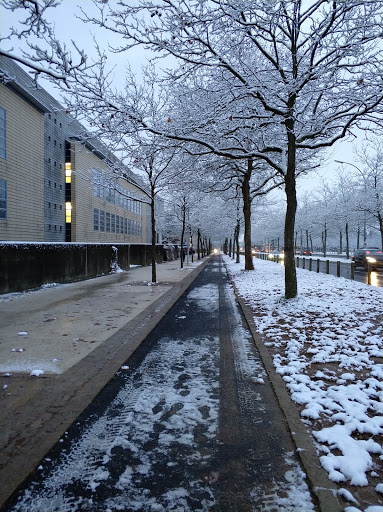 European School, Luxembourg I - Thumbnail