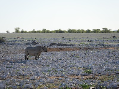 Photos of Meine Namibia Safaris