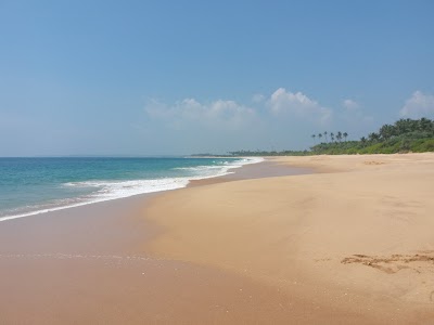 Photos of Turtle Watch Rekawa